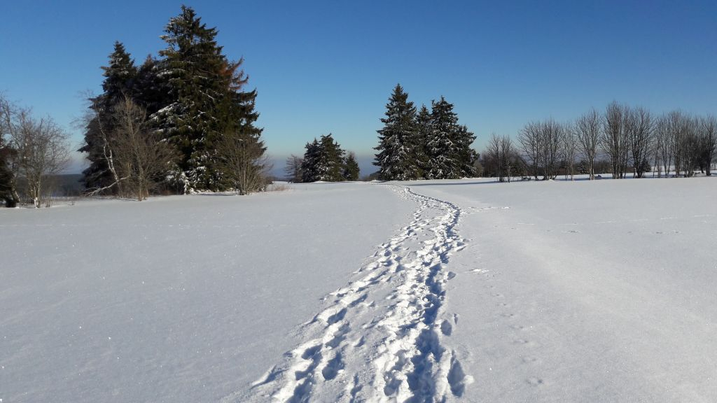 winter